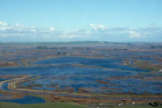 A photo of Suisun Marsh