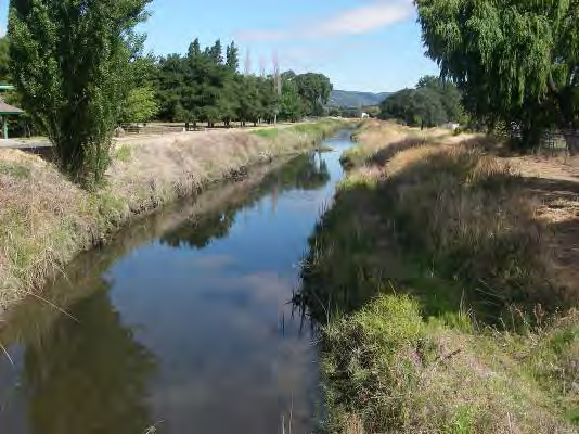 A photo of Cordelia Slough
